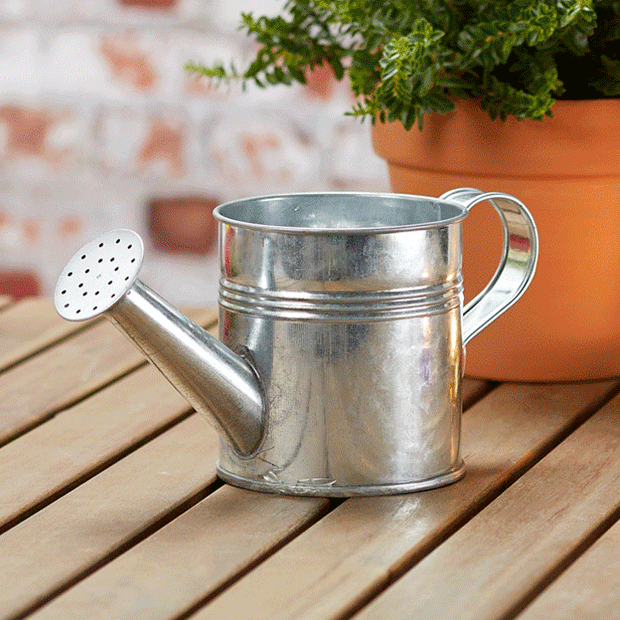 Gießkanne auf Holztisch mit grünen Pflanzen – Frühlings- und Gartendekoration. Großhandel für Deko- & Geschenkartikel