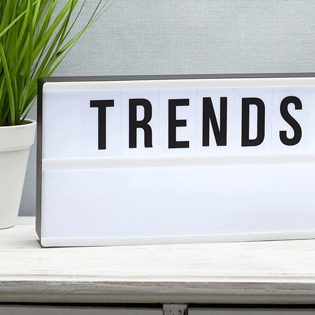 Leuchtkasten mit dem Wort „TRENDS“ neben einer Pflanze – moderne Dekotrends. Großhandel für Deko- & Geschenkartikel